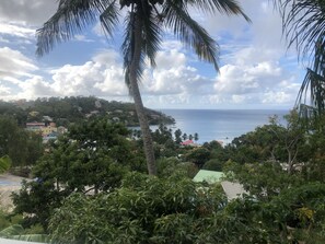 Eine Küstenstadt mit Gebäuden, Palmen und Blick auf das Meer.