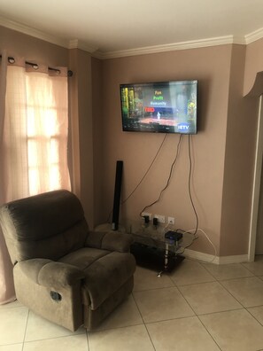 Flat-screen TV