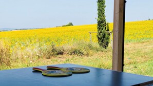 A ping pong table with two paddles in a room with a view of a yellow flower field. - Desiderio, luxury home with pool AC, WIFI and cook school - A Fontanaro Property (Paciano)