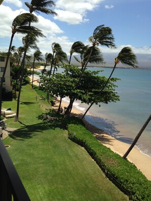 On the beach, sun loungers, beach towels