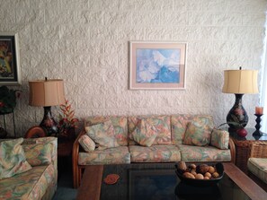 Téléviseur connecté, lecteur de DVD, livres, chaîne audio