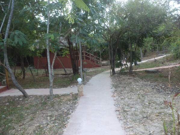 Front of property