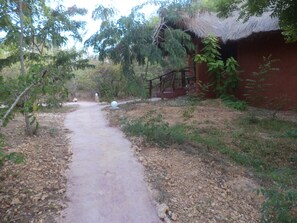 Front of property