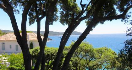 Panoramic sea view, swimming pool, garden. 
Quiet & comfortable, refurbished