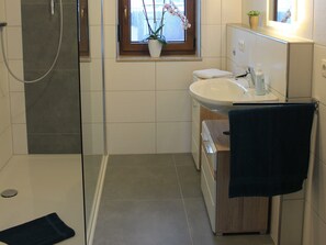 Regadera, secadora de cabello, toallas, papel de baño 