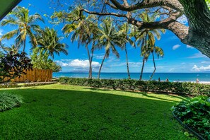 Escape to a serene beachside oasis with a lush garden and tranquil views.