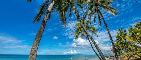 Plage, chaises longues, parasols, serviettes de plage