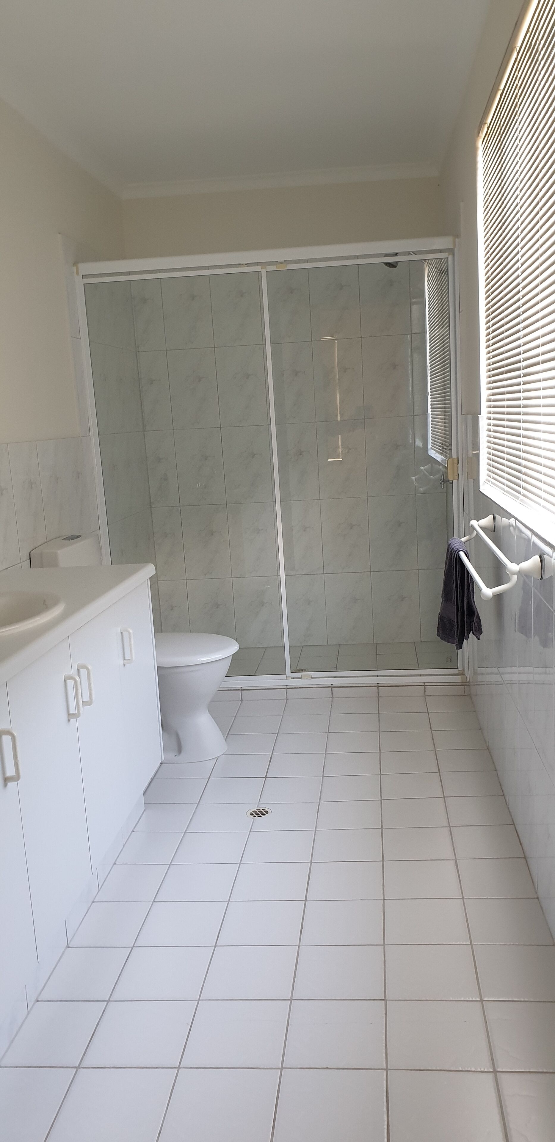 South Shores Pt Hughes — image 13