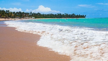Playa en los alrededores y camastros