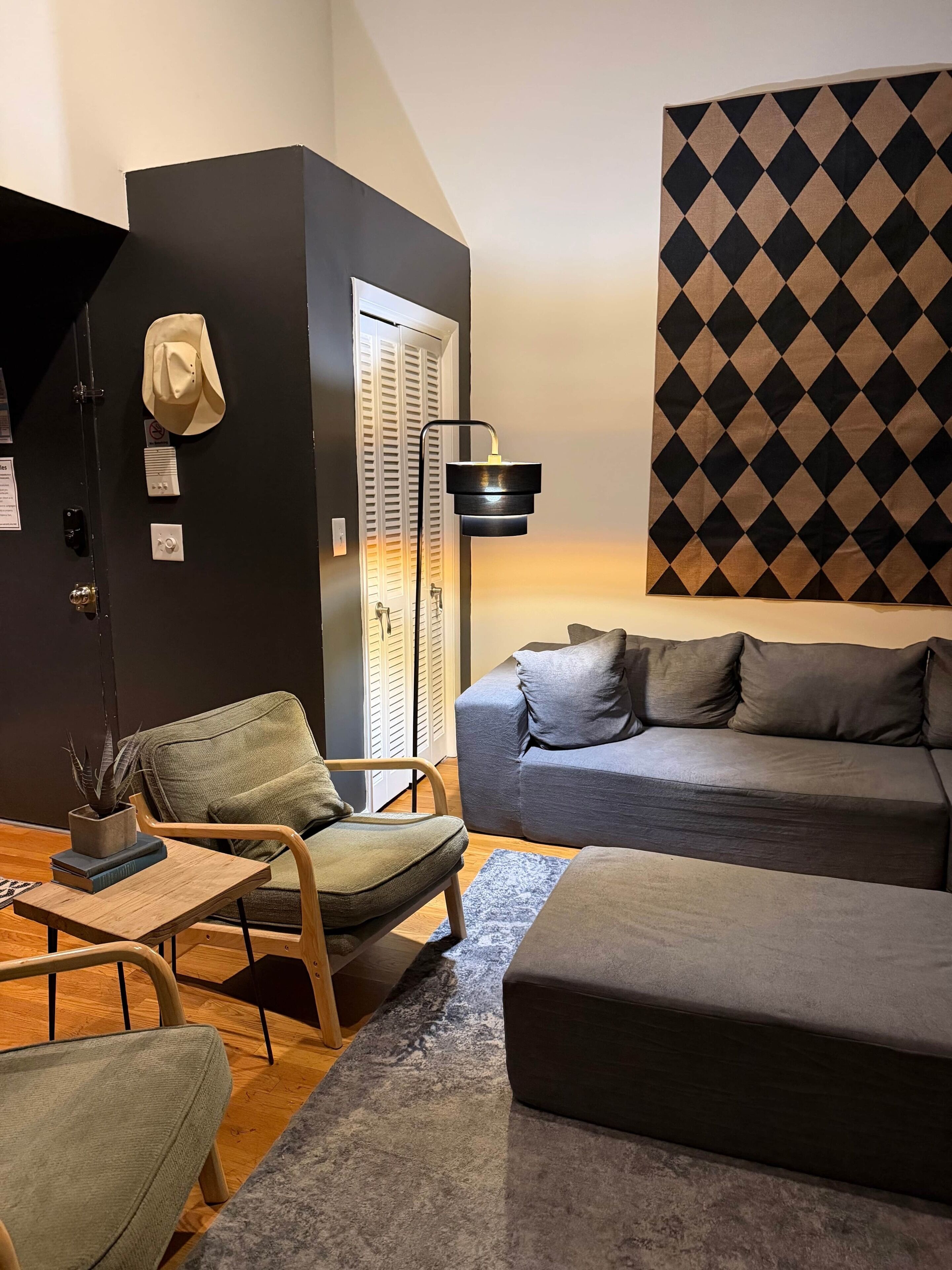 Un salon moderne avec un canapé gris, une chaise en bois, une petite table sur laquelle est posée une plante, et un mur noir orné d’un motif losangique.