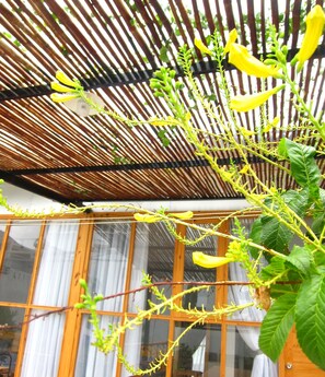 Terrace/patio - Chi Homestay (Ho Chi Minh City)
