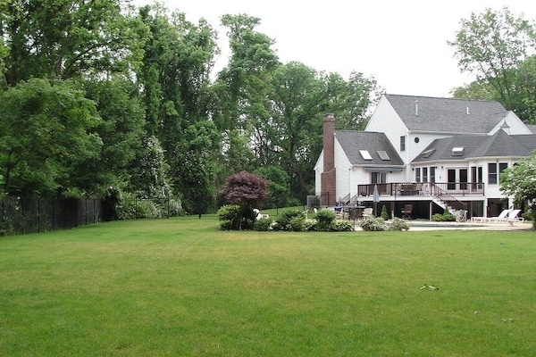 Back yard pool and deck