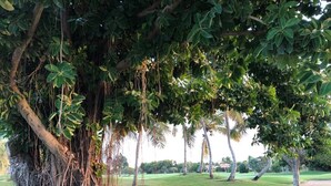 Unclassified image, 4 of 61, button - Villa Hermosa 3BD Cocotal golf club (Punta Cana)