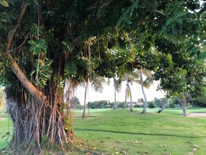Point of interest - Villa Hermosa 3BD Cocotal golf club (Punta Cana)