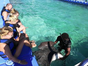 Ecotours - Villa Hermosa 3BD Cocotal golf club (Punta Cana)