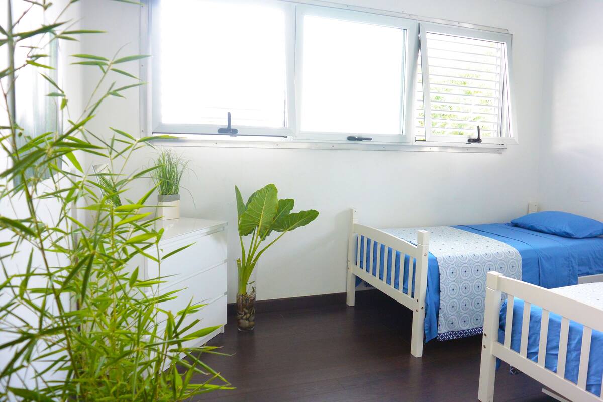A bedroom with two single beds, a white dresser, a potted plant, and a window with blinds.