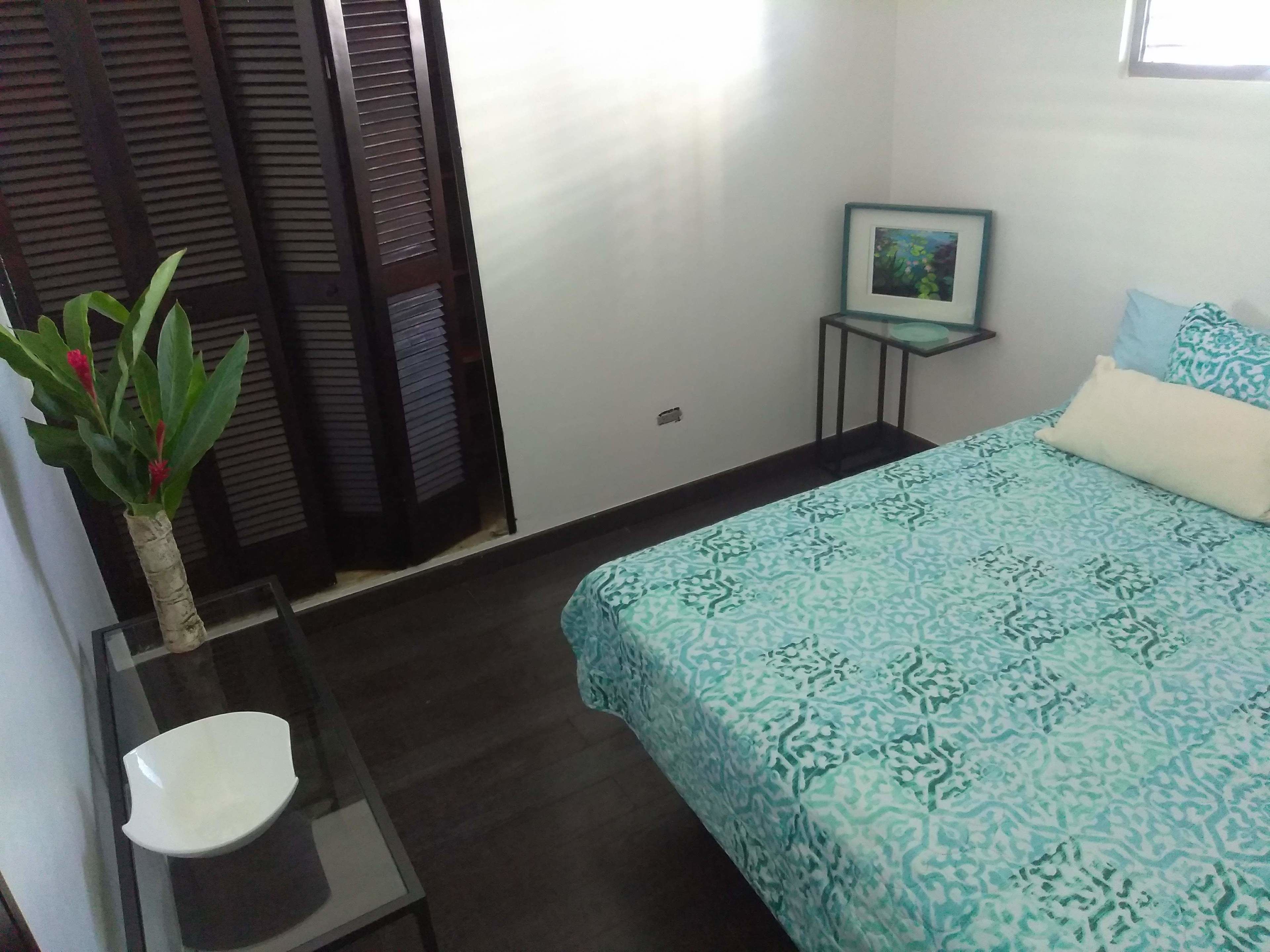 A bedroom with a bed, a small table with a chair, a potted plant, and a picture on the wall.