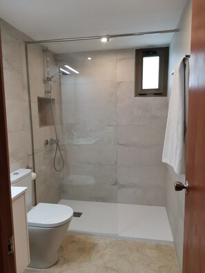 Bañera con ducha, secador de pelo, toallas, papel higiénico