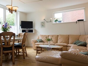 电视、DVD 播放器、书、立体声音响