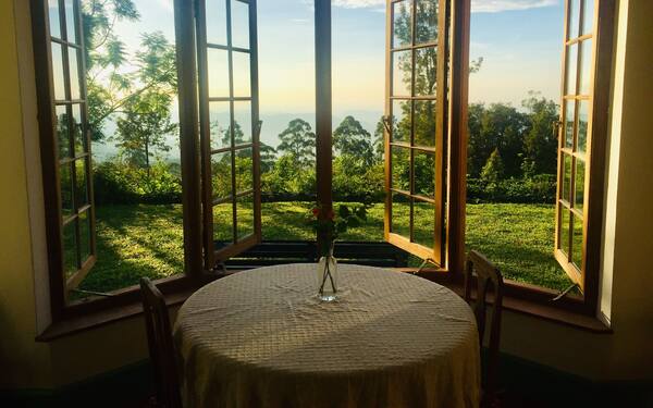 Full board on an organic tea estate high in the hills - whole cottage with staff