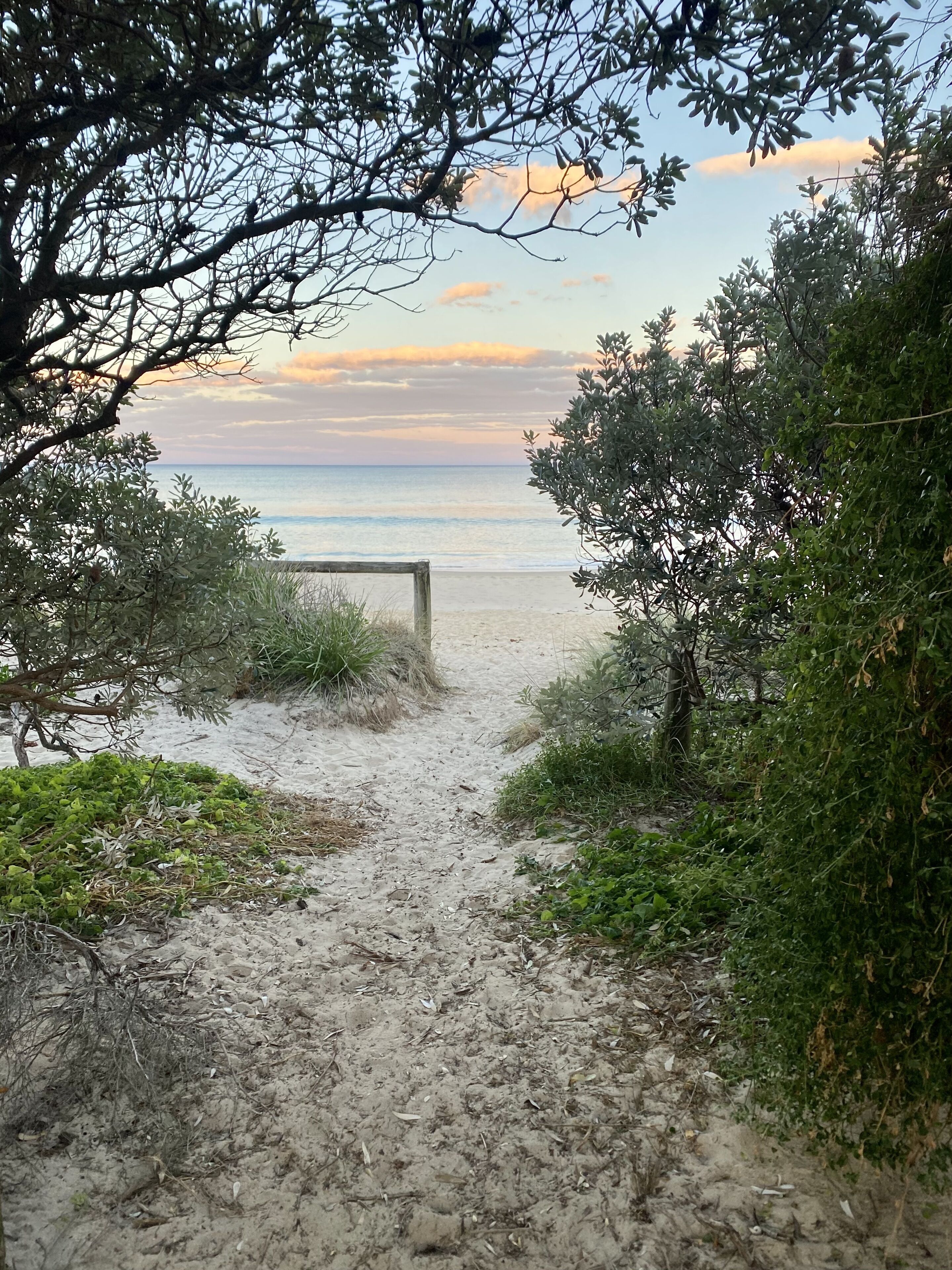 A sandy beach path leading to the sea, surrounded by greenery and a wooden structure.