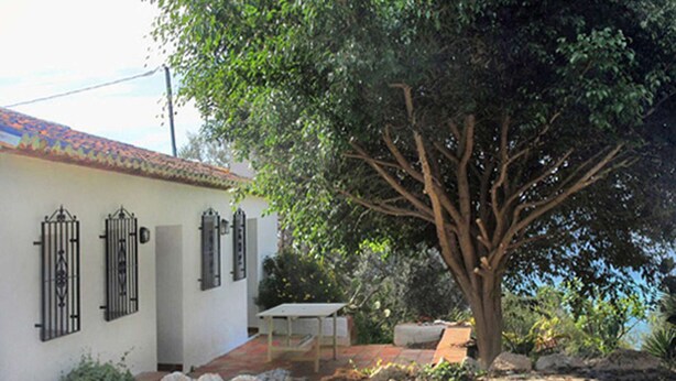 A white building with a tiled roof, a stone pathway, and a tree in front. - Gorgeous Andalusian house in a protected Nature Reserve (Nerja)