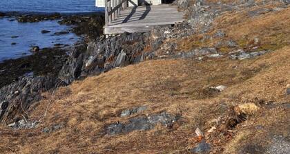 Willard Beach Neighborhood-Lähellä kaikkia Etelä Maine on tarjota!