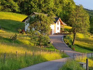 Esterni