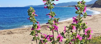 Holiday house Sa Fiorida Marc / 2 - Mediterranean holiday house by the sea (Sardinia)