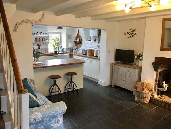 Televisión, chimenea, reproductor de DVD y tenis de mesa