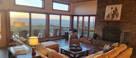 Fireplace, video-game console, DVD player