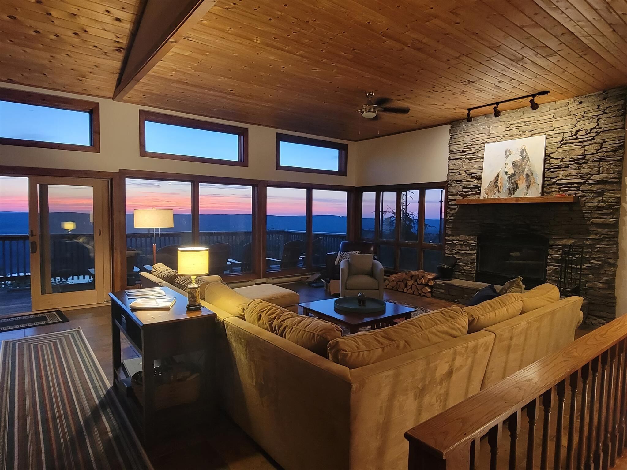 TV, fireplace, video game console, DVD player