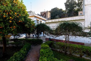 Property grounds - Plaza Santa Cruz. Traditional apartment in Santa Cruz (Sevilla)