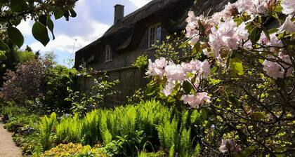 Bard's Nest, central, FREE allocated parking, 3 mins walk to Birthplace.