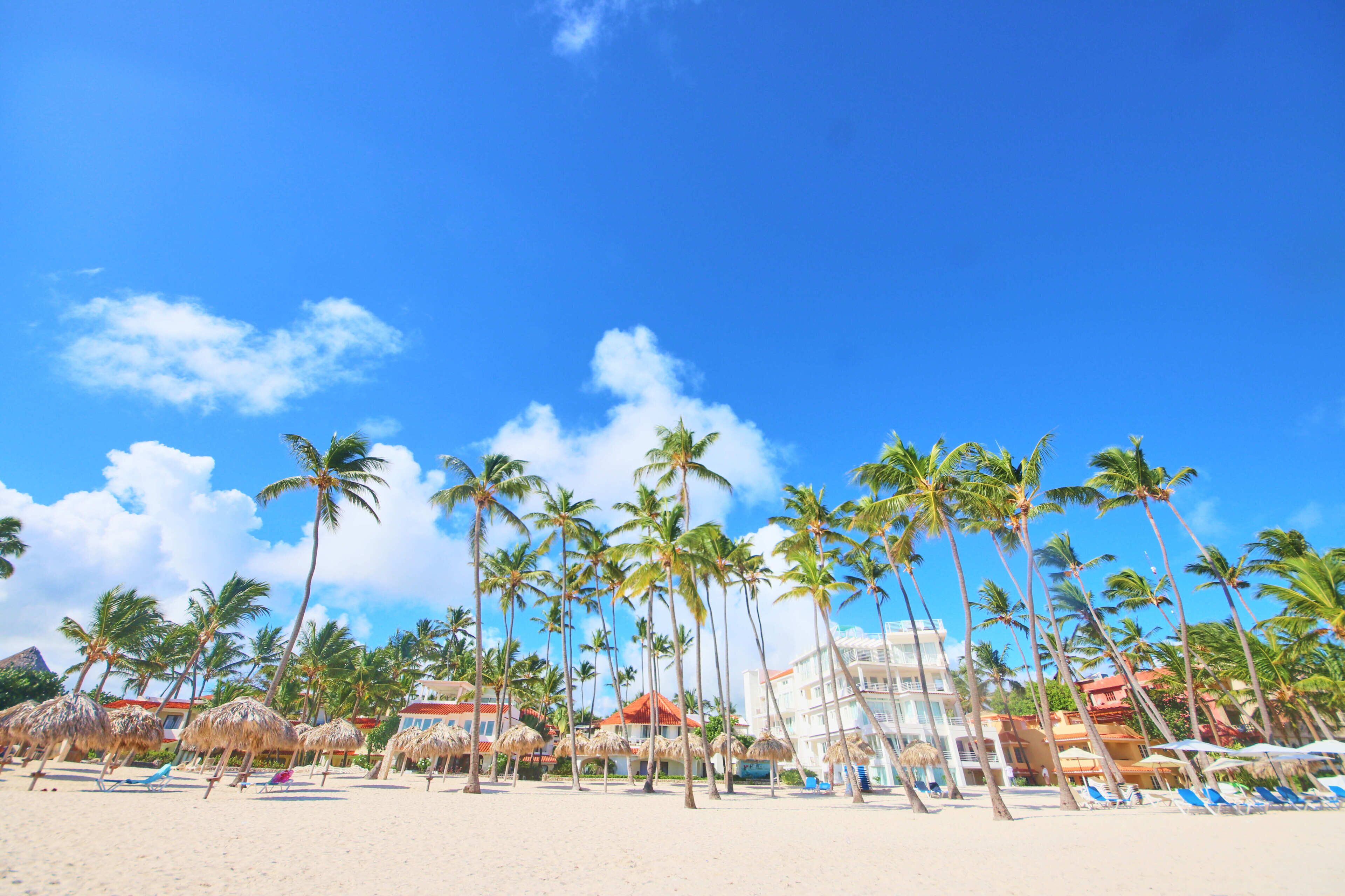 A beach with palm trees, beach umbrellas, and buildings in the background.