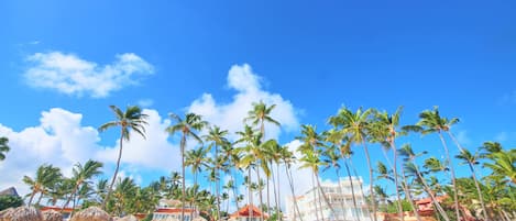 A beach with palm trees, beach umbrellas, and buildings in the background.
