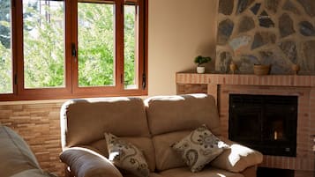 TV, fireplace, books