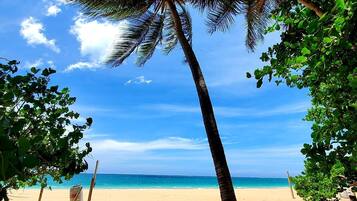 Nær stranden, solsenger og strandhåndklær