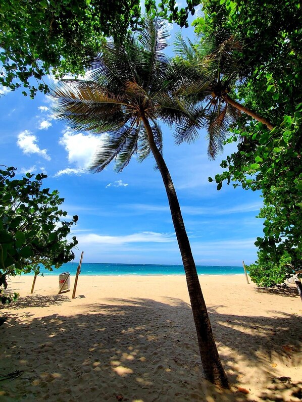 Beach nearby, sun-loungers, beach towels