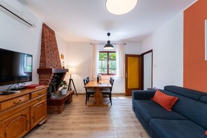 TV, fireplace