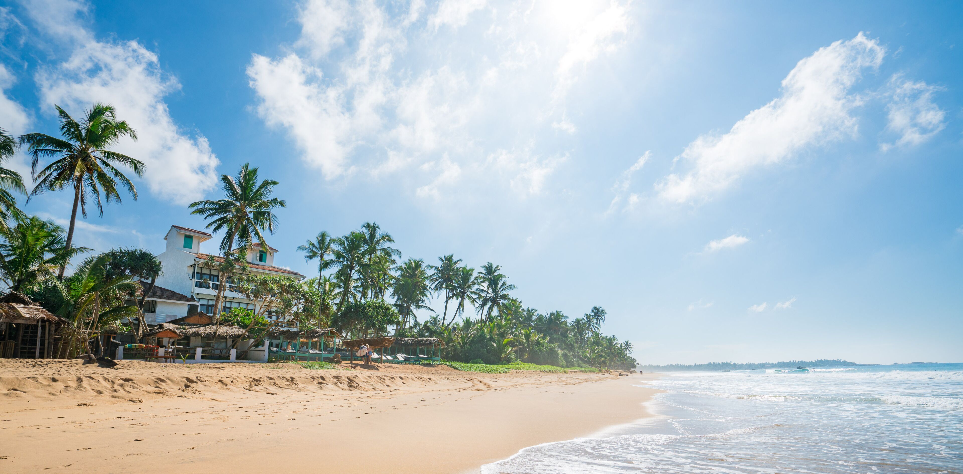 A beach with palm trees, a building with a thatched roof, and a clear sky.