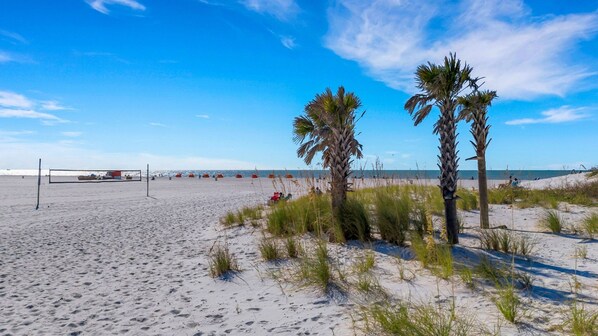 A beach with a volleyball net, palm trees, and people in the distance.