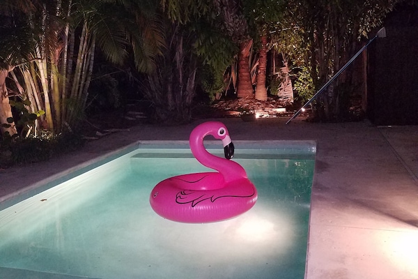 Een buitenzwembad en een verwarmd zwembad