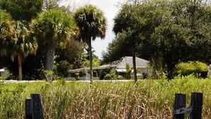 A water body with wooden posts, surrounded by tall grasses and trees. - "OLD FLORIDA" RIVERSIDE POOL COTTAGE THAT TIME FORGOT (Sebastian)