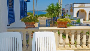 Un balcone con piante in vaso, vista sul mare e un edificio con persiane blu.