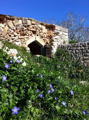 Exterior detail - Luxury villa with large terrace and sea view garden (Marina di San Gregorio, Patù (LE))