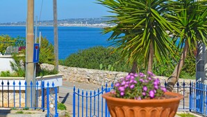 Una vista sulla costa con un muro di pietra, una recinzione in metallo blu e una pianta in vaso con fiori viola.