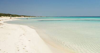 Luxury villa with large terrace and sea view garden