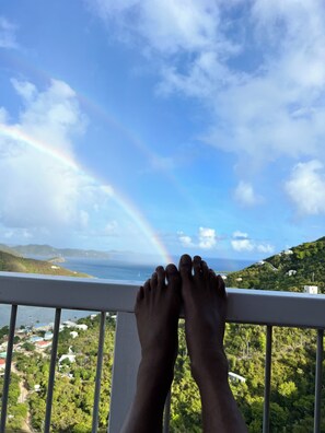 Property grounds - Top of the World views...refreshing trade winds, private pool. Dreams indeed! (Coral Bay)