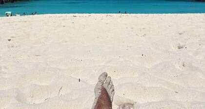 Island Dreams-St John. Where YOUR dream of Tropical paradise comes true! ☀️ 🏝️ 🐠